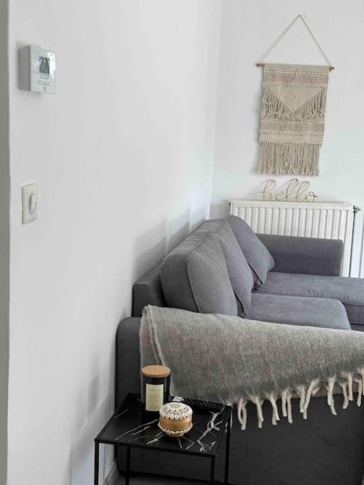 Charmant T3 Moderne Climatise Villeurbanne Dış mekan fotoğraf