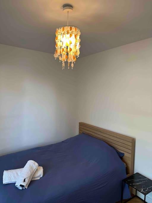 Charmant T3 Moderne Climatise Villeurbanne Dış mekan fotoğraf